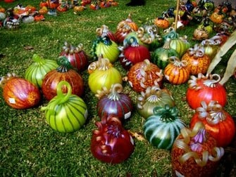 Dutchbaby Great Glass Pumpkin Patch