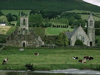 March Vol Baltinglass Abbey County Wicklow Ireland Jpg4