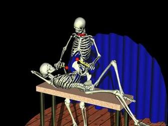 Funny Animations Pictures Image Graphics For
