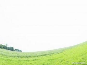 Nature Wallpaper Of Vast Country Field Blue Sky White