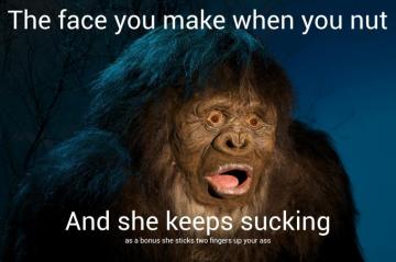 Wallpaper Humor Relatable Miladyb7 HD