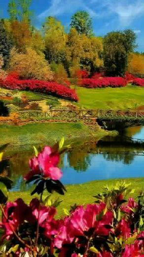 Wallpaper Beautiful Nature For Your