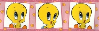 Details About Looney Tunes Tweety Bird Wallpaper Border Ttfs2021b