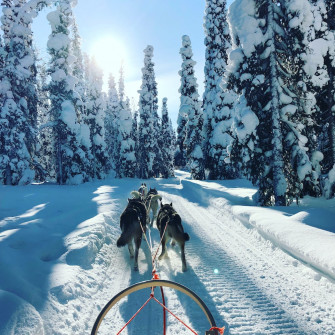 Lapland Pictures Image
