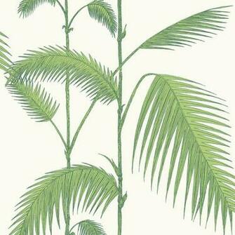 Palm Leaf Wallpaper