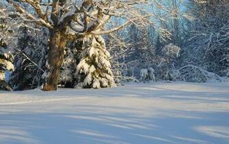 Sun Light Reflecting On The Snow Wallpaper Nature