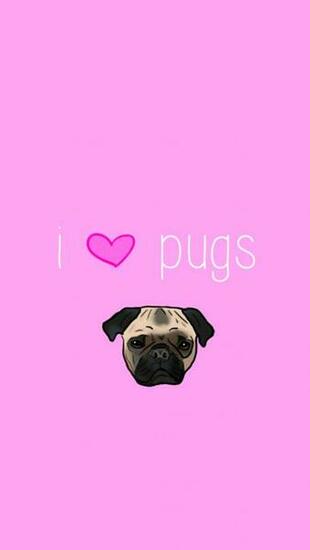 Puggle Wallpaper Pug