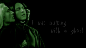 Fandom By Black Rapture Desktop Wallpaper Click For Full