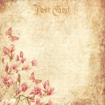 Image Vintage Flowers Butterflies Romantic