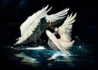 Swan Lake Wallpaper Desktops