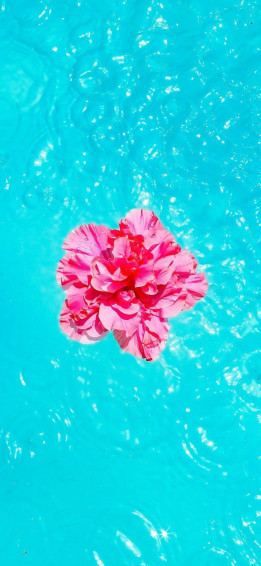 Water Aesthetic Wallpaper