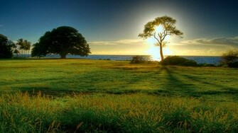 Natural Beauty Nature Wallpaper