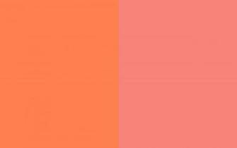 Coral Pink Background And Two Color