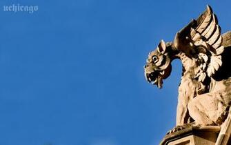 Photos Wallpaper College Admissions The University Of Chicago