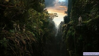 King Kong Wallpaper Moallpapers Org