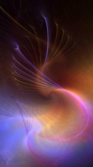 Cool Animal Beautiful iPhone Wallpaper HD And 1080p