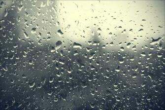 Rain Window Panes Wallpaper Windows