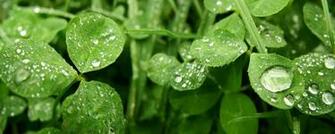 Amazing Dual Screen Widescreen Wallpaper