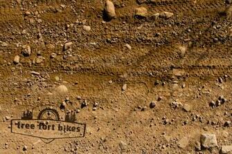 Tree Fort Dirt Tracks Wallpaper