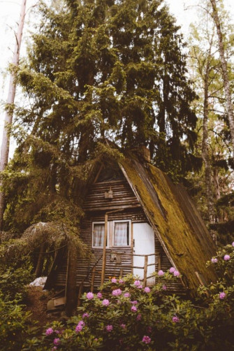 Gorgeous Cottagecore Aesthetic Wallpaper For Your Phone