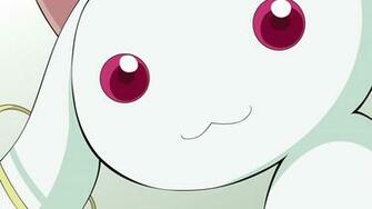 Best Kyubey Wallpaper