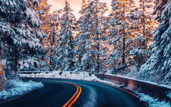 Wallpaper Nature Winter Forest Road Mac Pro