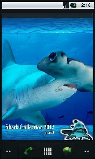 Bigger Blood Shark HD Live Wallpaper For Android Screenshot