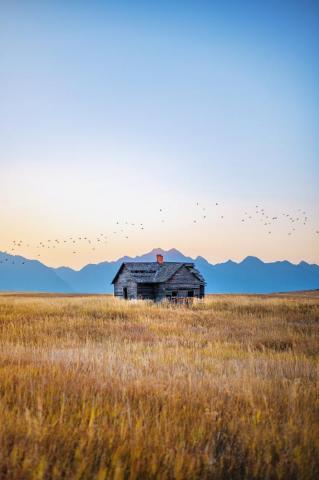 Montana Pictures HD Image