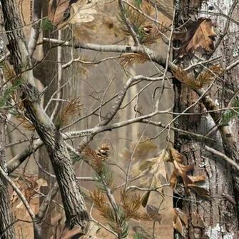 Browning Logo Camo Wallpaper Realtree Piece Crib