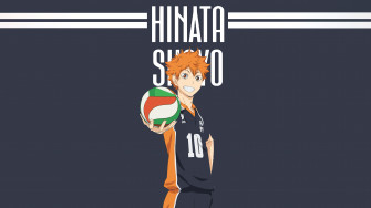 Shoyo Hinata Wallpaper 4k 8k Minimalist Haikyuu
