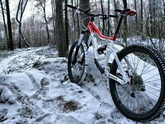 Mtb Mountainbike In The Forest Html