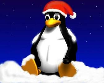 Xmas Penguin Christmas Animals Wallpaper Image