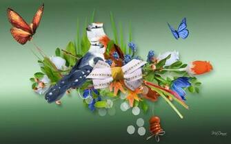 HD Birds Butterflies Blooms Wallpaper