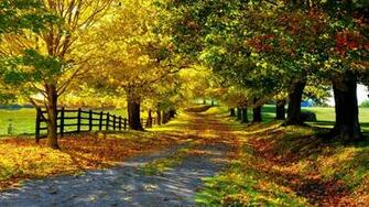 Yellow Autumn Day Wallpaper Wallpaperesque