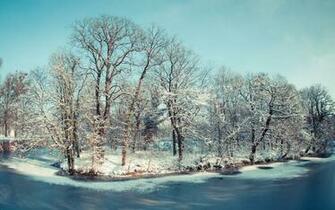 Winter Trees And River Wallpaper