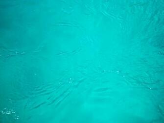 Turquoise Color Wallpaper