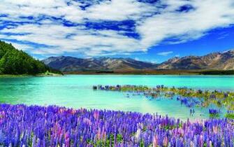 Lake Tekapo New Zealand Wallpaper13