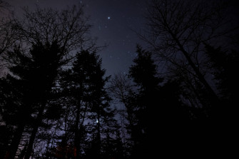 Starry Night Wallpaper