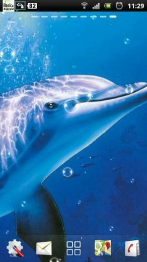 Dolphin Live Wallpaper Android Apps On Google Play