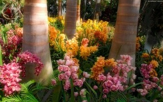 Exotic Flowers Wallpaper