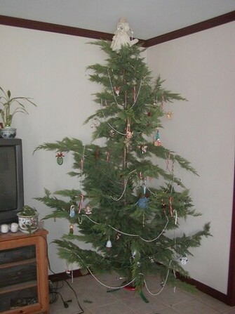 Brown Christmas Tree Picture 4th Annual Charlie