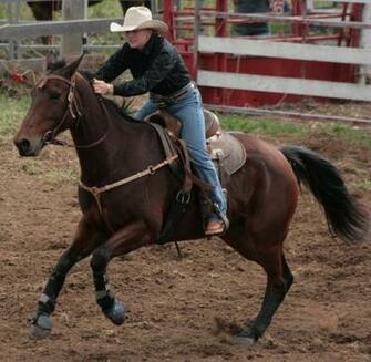 Go Back Image For Barrel Racing Wallpaper