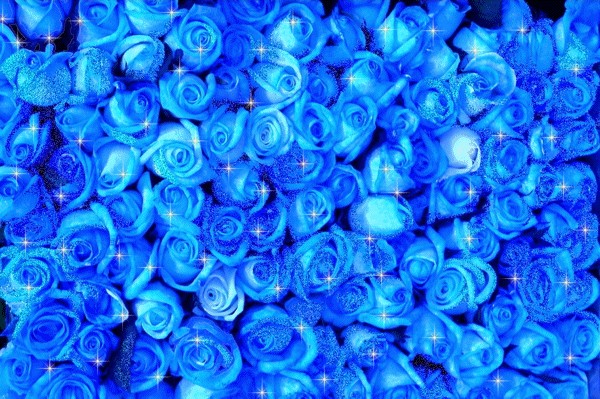 Animated Glitter Wallpaper For Kids Younger Women And Children