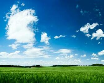 Summer Wallpaper Desktop