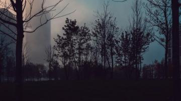 Silhouette Of Trees During Night Time Photo Grey Image On
