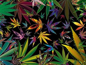 Trippy Weed Wallpaper Screensaver Pre Id