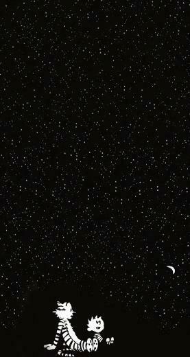 Calvin And Hobbes In The Starry Night iPhone 5s Wallpaper