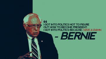 Bernie Wallpaper HD Background Itl Cat