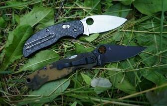 Wallpaper Spyderco Para Military Sage Image For Desktop