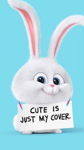 Stitch And Unicorn Wallpaper Google Search Bunny